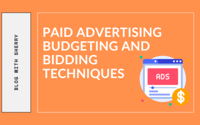 Paid Advertising Budgeting and Bidding Techniques